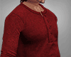 winter red sweater