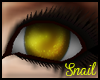 -Sn- Unisex Yellow Eyes