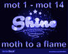 moth to a flame