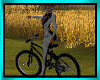 Mz.Avatar/Bike