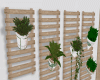plants/shelves