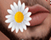 Daisy in Mouth M (R)
