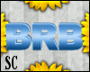 S|BRB Blue Chair