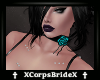 Rose Colar Teal