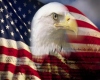 Beautiful Eagle and Flag