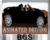 BGS CON SPORTS CAR CE