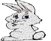 [NK]W.Bunny