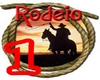 Versos de Rodeio 1