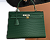 Kelly Handbag green 💚