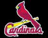 (PS) Cardinals Sticker