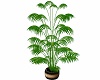 LL~LOUNGE W/ BAL PLANT