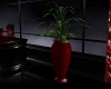 Red Room Palm