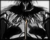 ! Ely D Set