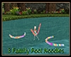 3 - Family Pool Noodles