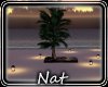 NT Isle Lounger Chat 2