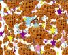 Cookies and stars