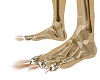Skeleton Candle FEET Mal