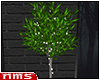 NMS- Light Tree