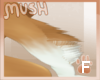 Fuu's Arm Fluffs