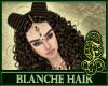 Blanche Hair Highlights