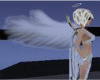 Real angelical wings