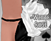 Cat~ White Rose Pumps.2
