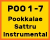 Pookkalae Sattru INSTRU
