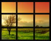 [SCR] Landscape Window1