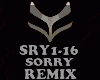 REMIX - SORRY