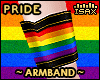 ! Pride Black Armband F