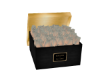 Glow Rose Box