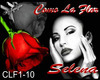 Como La Flor Selena