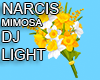 NARCIS MIMOSA EFF