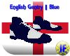 EG|Blue Shoes