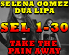 SEL GOMEZ-TAKE THE PAIN