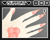S | Perle Paws v2