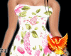 Spring Bundle