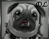 DL~ Pug Pup ~Animated