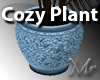 Cozy Plant
