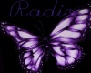 Purple Butterfly Radio