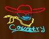 NEON COUNTRY SIGN