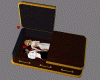 Love Coffin for Vampire
