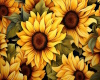 Sunflower club table