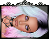 v| Silveria Candi