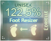 E~ Foot Scaler 122.5%