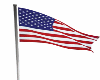 United States flag Anima