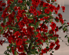 â½ Rose Tree