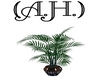 (A.H.) Blue Flower Plant
