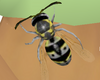 Animated Belly BEE