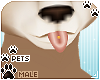 [Pets] Kimi | tongue